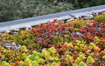 the cost of Dalwood green roof installation